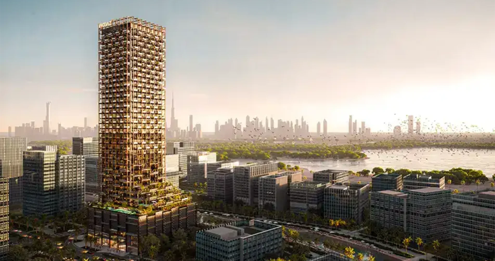 The Symphony by Imtiaz